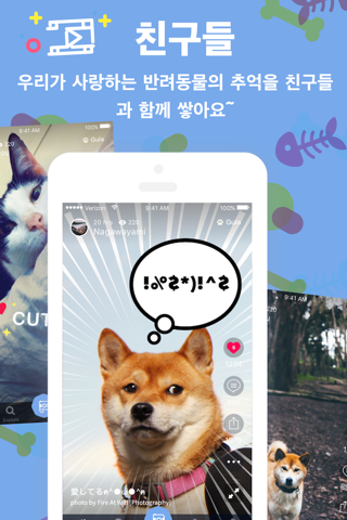 Pamily - Video Community for Pet lovers screenshot 3