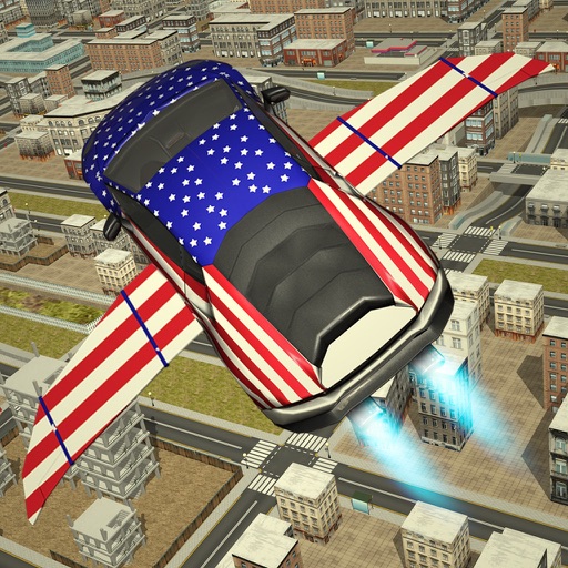 Free Flying Racing Car Driving Icon