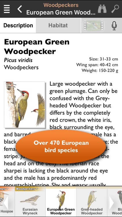 Birds of Europe - identification, distribution, voices
