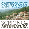 Castronuovo Sant'Andrea - Scrigno di Arte e Cultura