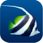 Tropical Fish Puzzle - A fun  addictive puzzle matching game