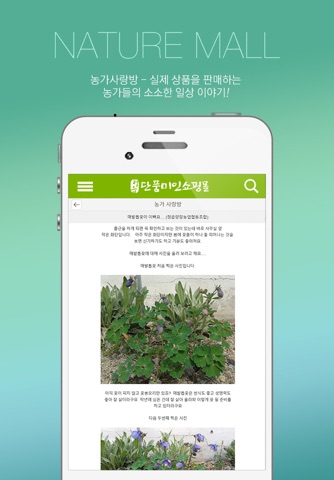 단풍미인쇼핑몰 screenshot 3