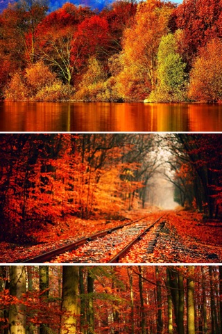 Fall Wallpapers - Beautiful Collections Of Fall Wallpapers screenshot 3