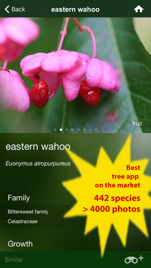 Tree Id Canada - identify over 1000 native Canadian species (圖2)-速報App