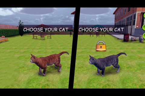 Angry Cat VS Mouse screenshot 2