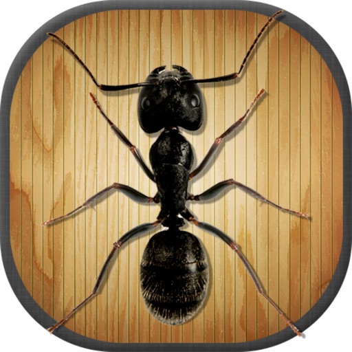 Insect Smasher Ant Killer game iOS App