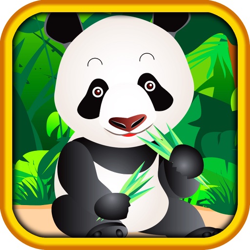 AAA Pop & Win Lucky Rich Panda Hi-Lo (High-Low) Game iOS App