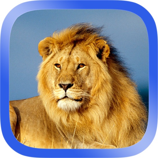 African Animals Puzzle Icon