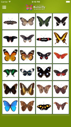 Victoria Butterfly Gardens(圖2)-速報App