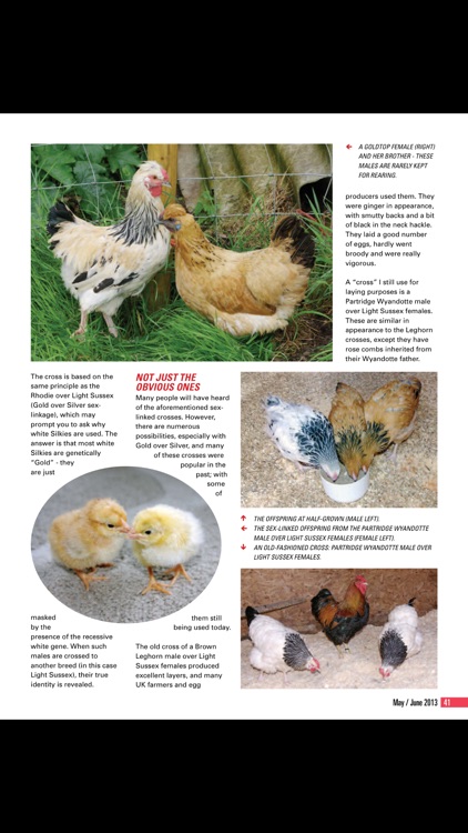 The Poultry Magazine screenshot-4