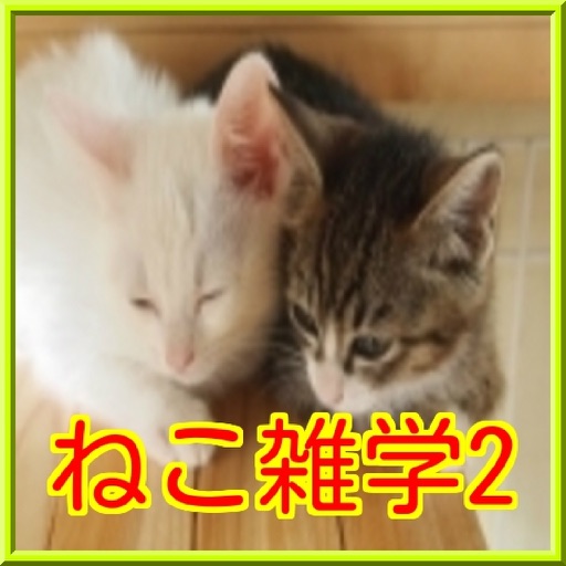 ねこ雑学2 icon