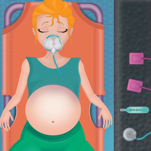 Health Checking - The Health of Pregnant Susan icon