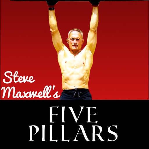 Steve Maxwell's 5 Pillars System icon