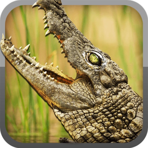 Alligator Hunt Simulator - New Real Action Sniper Shooter Games FREE icon