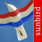 Birds of the Netherlands - a field guide to identify the bird species native to NL and Holland