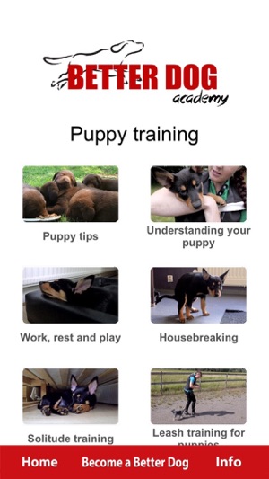 Better Dog Academy(圖2)-速報App