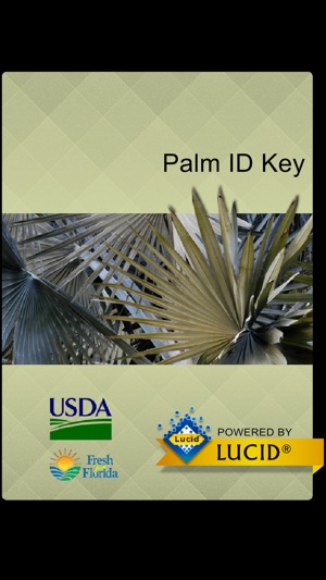 Palm ID Key