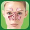 Help your patients understand how their bodies react to allergens and the causes of their symptoms