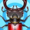 Alert: it’s a bugs invasion