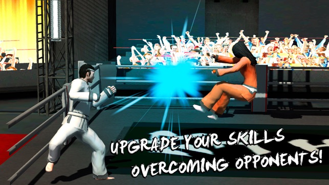 Karate Do Fighting Tiger 3D(圖3)-速報App