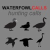 Icon Waterfowl Hunting Calls - The Ultimate Waterfowl Hunting Calls App For Ducks, Geese & Sandhill Cranes - BLUETOOTH COMPATIBLE