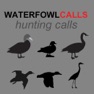 Get Waterfowl Hunting Calls - The Ultimate Waterfowl Hunting Calls App For Ducks, Geese & Sandhill Cranes - BLUETOOTH COMPATIBLE for iOS, iPhone, iPad Aso Report