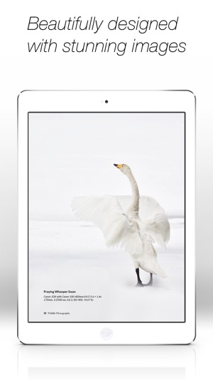 Wildlife Photographic Magazine(圖2)-速報App