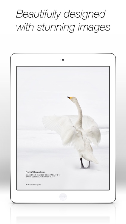 Wildlife Photographic Magazine