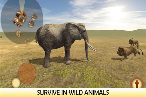Real Stray Wild Angry Elephant Simulator screenshot 3