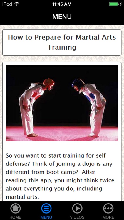 Learn Karate - Beginner's Guide