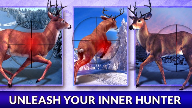 Real Deer Hunter Simulator 2016 - Target The Big Wild Buck H(圖4)-速報App