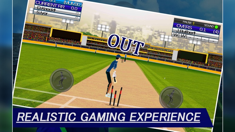 IPL Cricket Craze 3D