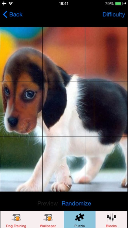 Puppy for desktop screensaver or for puzzle. Portrait of charming