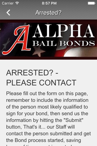 A Alpha Bail Bonds screenshot 3