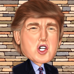 Border Wall - Donald Trump Edition