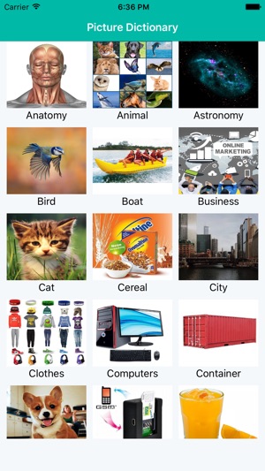 Picture Dictionary - Multi Language(圖1)-速報App