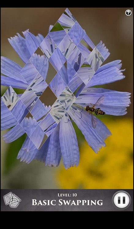 Hidden Scenes - My Little Bees