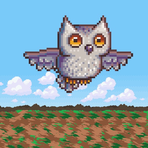 Owl Dash icon