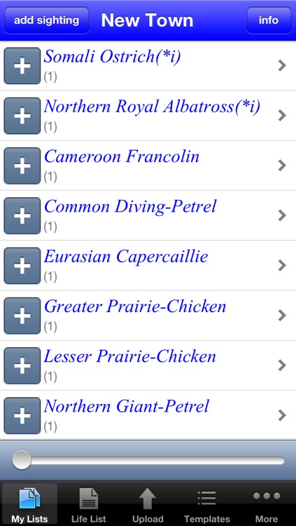 My Bird Observations