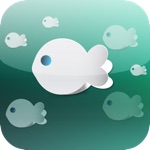 Fish Quiz  Guess Aquatic Animal Fishing in the Sea