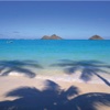 Hawaii's Best Beaches!