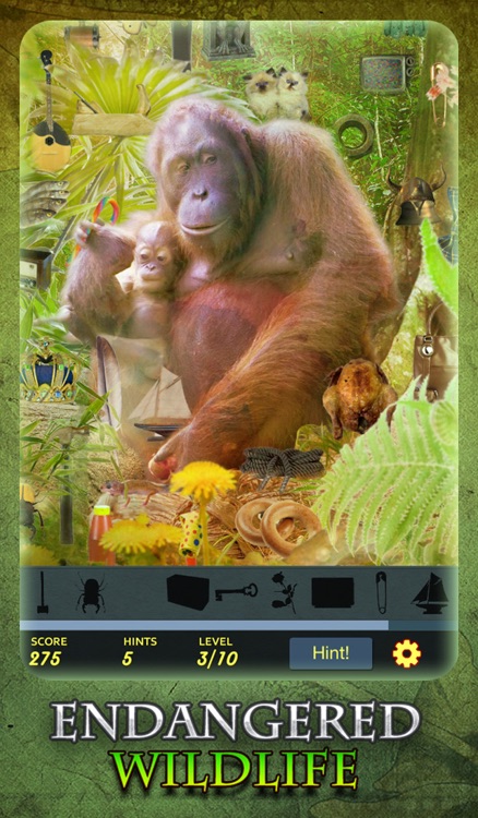 Hidden Object - Endangered Wildlife