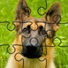 Dog Puzzles!