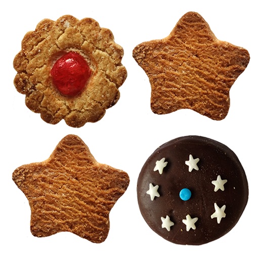 Christmas Biscuits icon