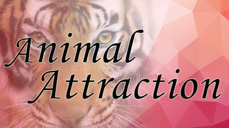 Animal Attraction, Sex, Charisma, and Dating Confidence by Hypnosis and Meditation