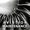 Aviation Mechanic Exam Prep (Aircraft Maintenance)