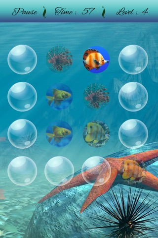 Fish Matching Puzzle Game screenshot 4