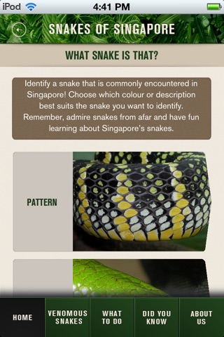 SG Snakes screenshot 2