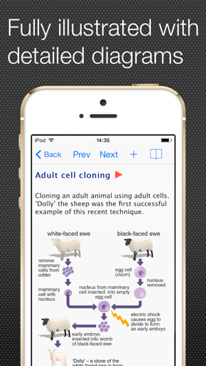 GCSE Science Glossary Lite(圖2)-速報App