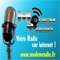 Plays Modem Radio Hits - France